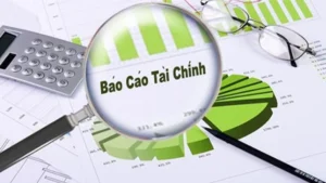 Báo cáo tài chính và báo cáo quản trị công ty đại chúng. Ảnh: Internet.